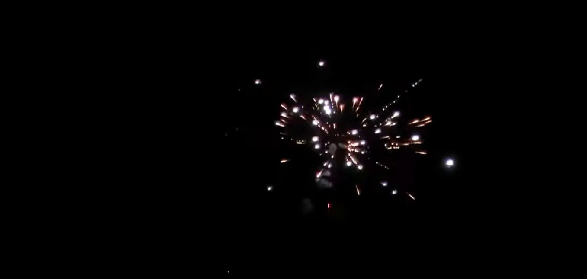 В Запорожье во время войны запускали фейерверки: полиция нашла компанию, праздновавшую день рождения
