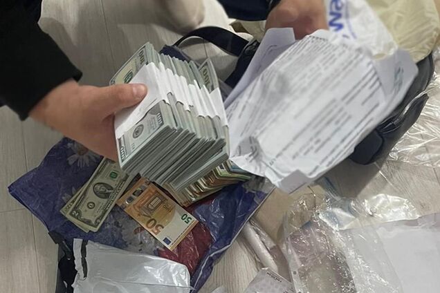 У лікарки з Житомира під час обшуків знайшли понад 4,4 млн грн: вона підробляла висновки МРТ для ухилянтів. Фото