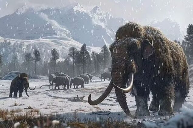 Мамонтов из Ледникового периода хотят 'воскресить' к 2028 году: в планах ученых – еще додо и тасманский тигр. Что известно