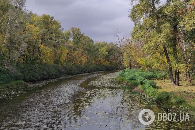 Невелика хмарність та до +22°С: прогноз погоди по Київщині на 9 жовтня
