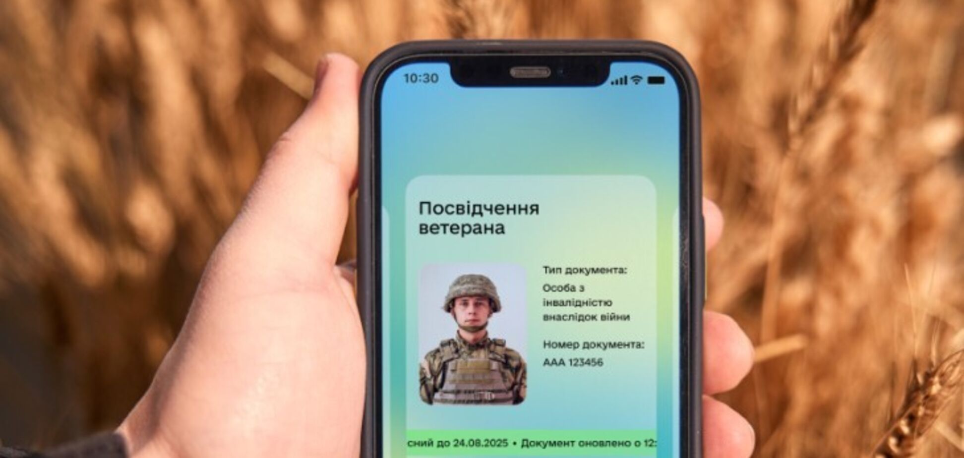 Посвідчення ветерана в Дії. Ілюстрація