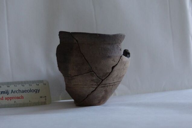 У селі на Івано-Франківщині знайшли посуд часів трипільської культури. Фото