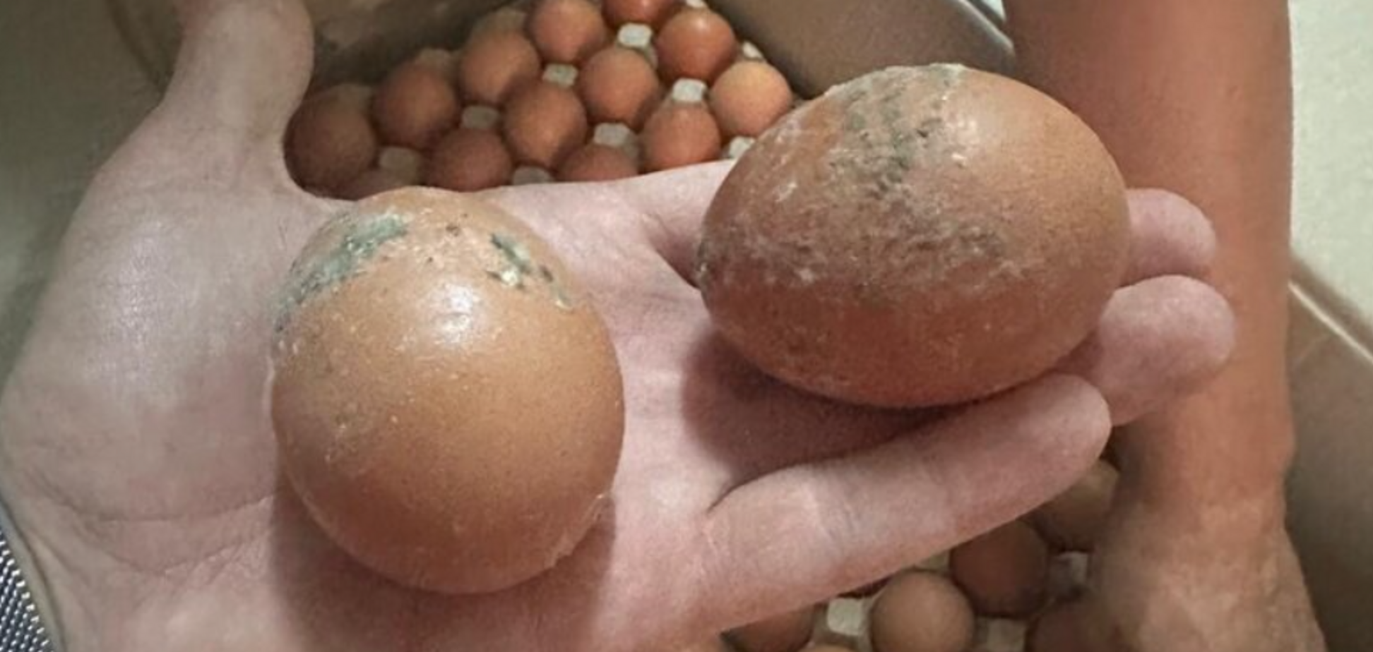 'Те же яйца по 17, только в профиль': военный раскритиковал ДОТ за плохую еду