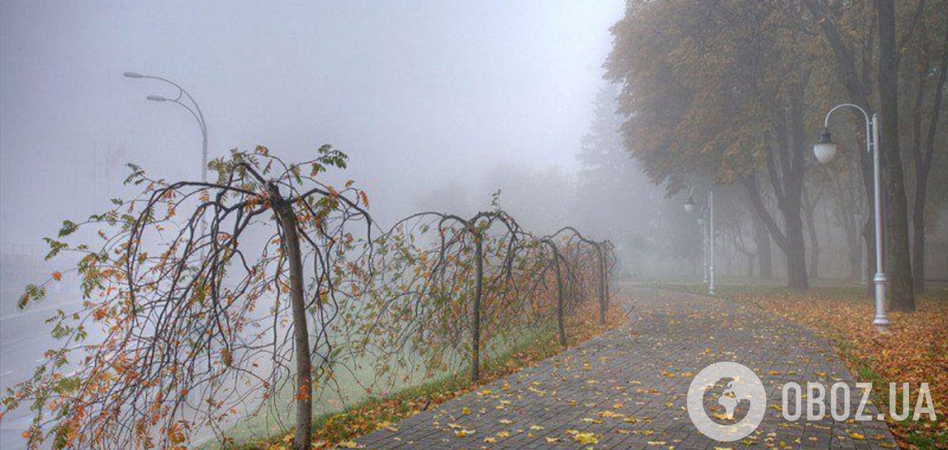 Очікується переважно суха погода: синоптики назвали єдиний регіон України, де в суботу дощитиме. Карта