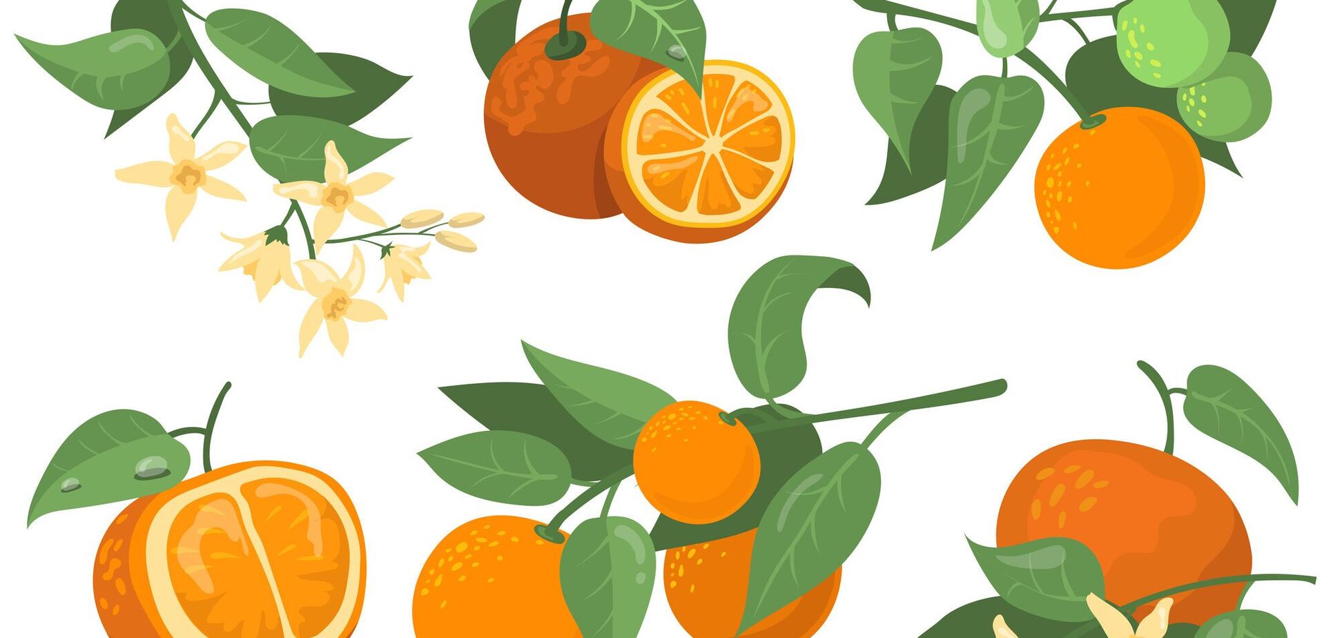 'Оранжевий' или 'жовтогарячий'? Как правильно назвать украинский