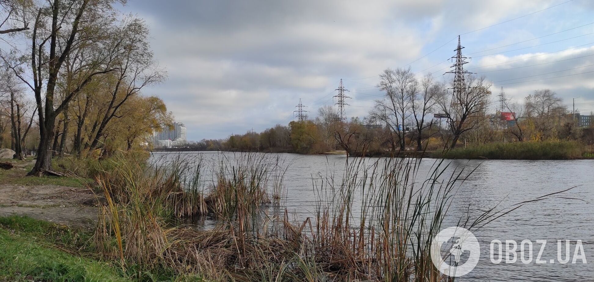 Без опадів та до +7°С: детальний прогноз погоди по Київщині на 12 листопада