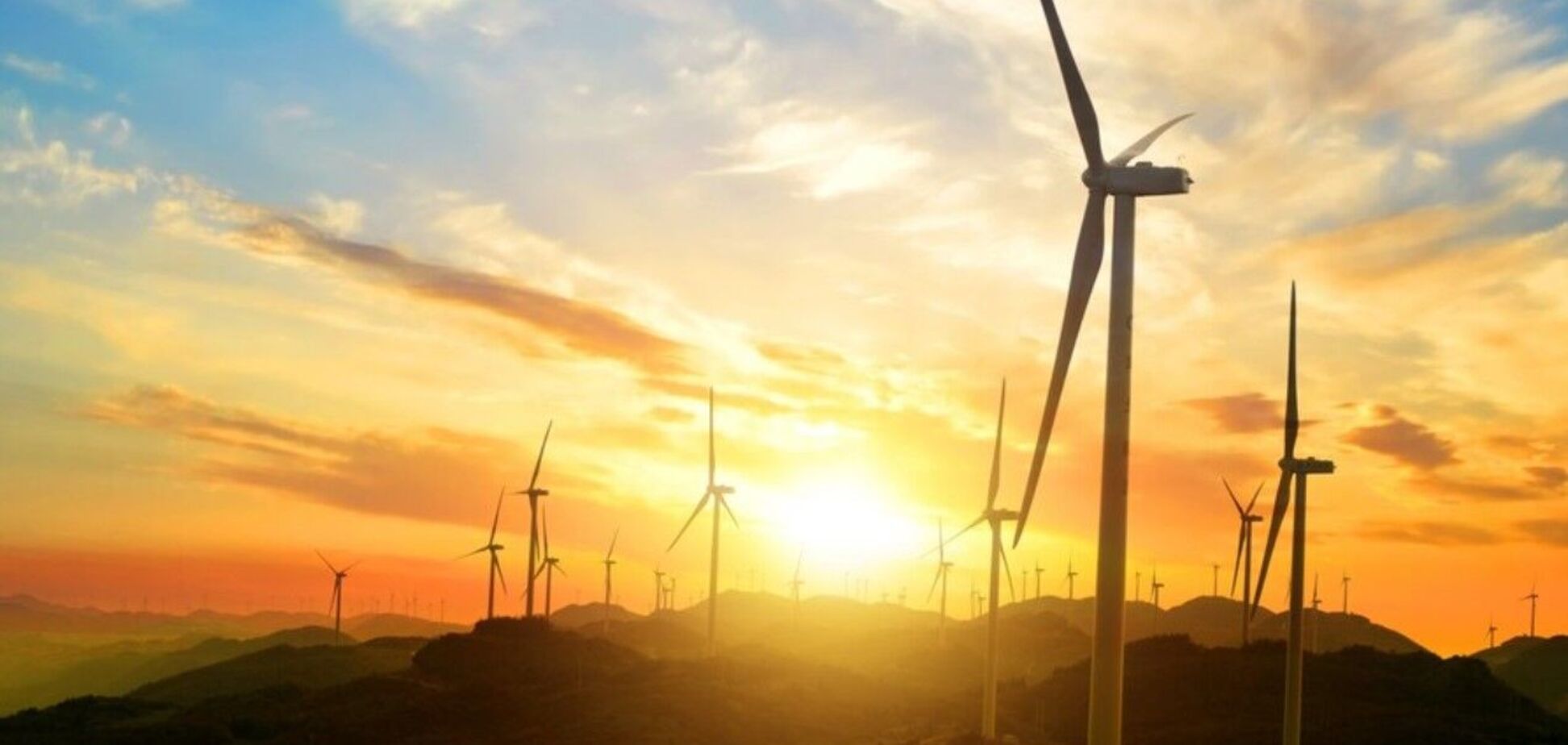 Государство должно разработать план погашения долгов перед 'зелеными' инвесторами, – Трофимец