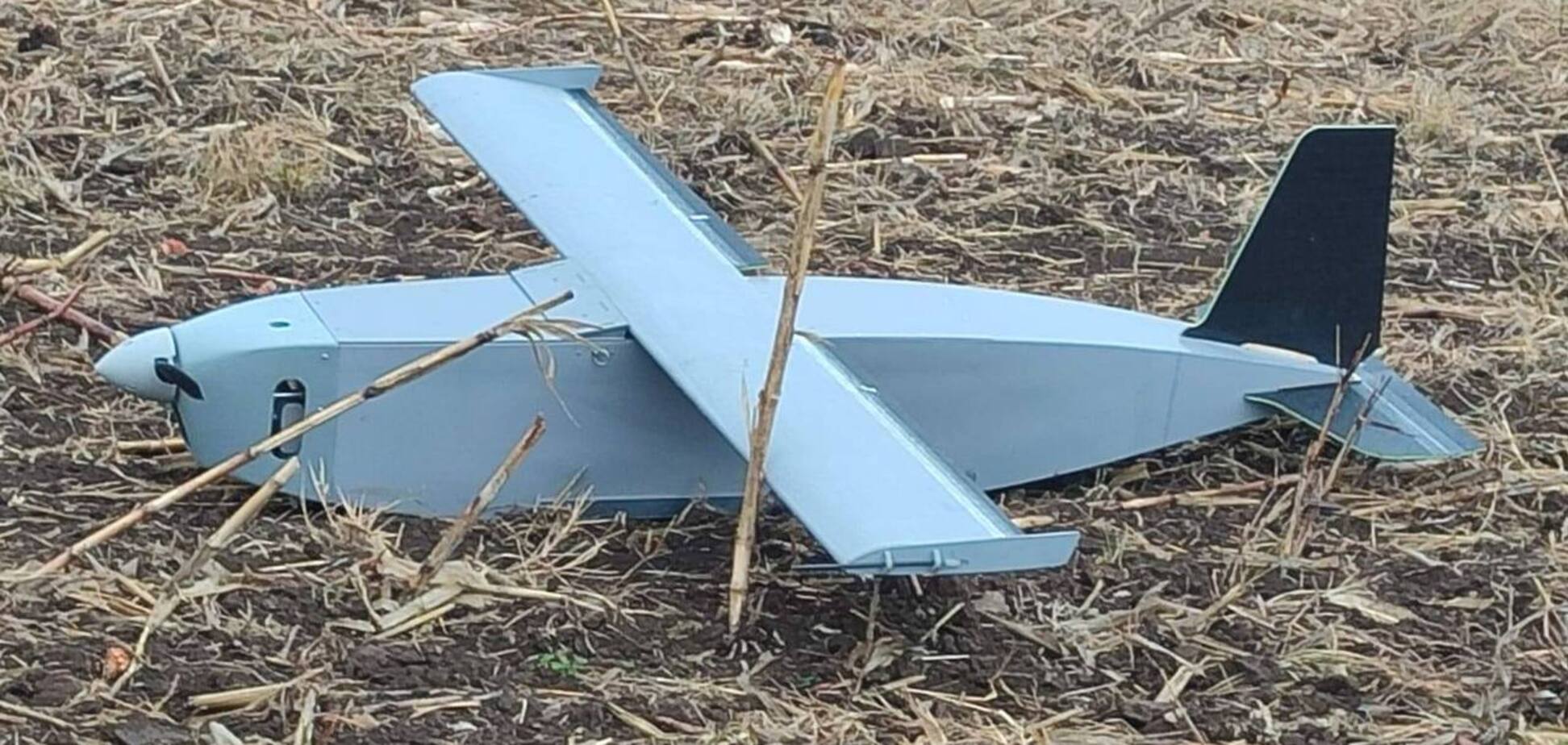 В Молдове нашли третий беспилотник за три дня: Санду призвала закупать радары