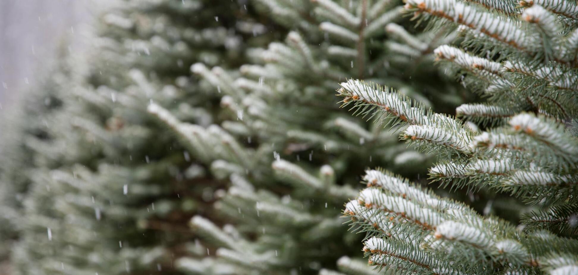 Украину накроет мокрый снег, будет гололедица: синоптик уточнила прогноз на четверг. Карта