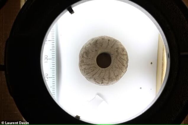 Кто изобрел колесо? Ученые озвучили новую версию, где упоминания о Карпатах уже нет