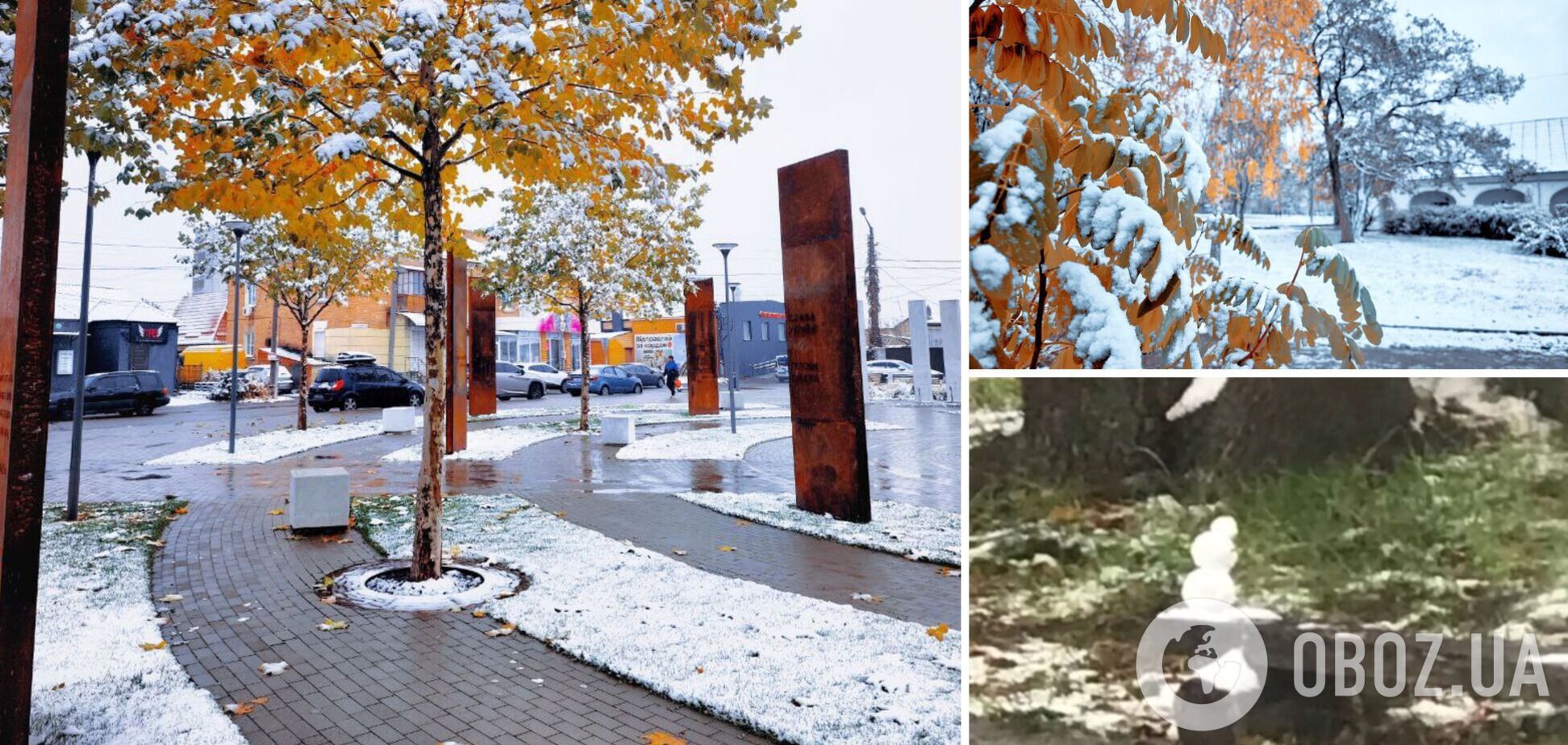 Справжній подих зими: на Київщині випав сніг. Фото та відео