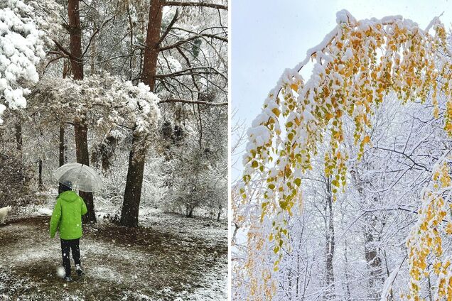 В Україну прийшла 'зимова' погода: в низці областей пішов сніг, на дорогах ожеледиця. Фото і відео