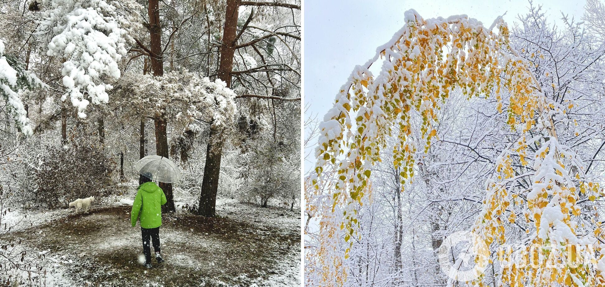 В Украину пришла 'зимняя' погода: в ряде областей пошел снег, на дорогах гололедица. Фото и видео