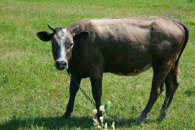 Украинцы могут получить выплату в 7 тыс. грн