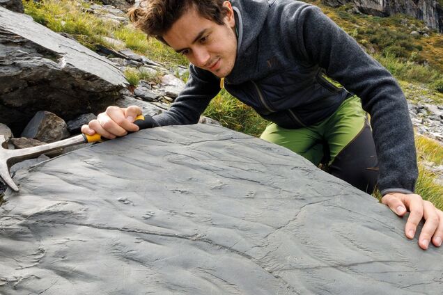 Путешественники обнаружили в Альпах доисторическую экосистему возрастом 280 миллионов лет. Фото