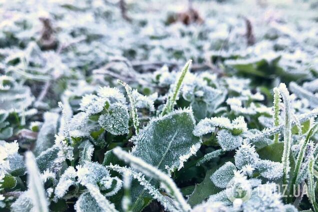 Вдарять морози до -9°С: на Київ насувається похолодання з снігопадами, названо дату 