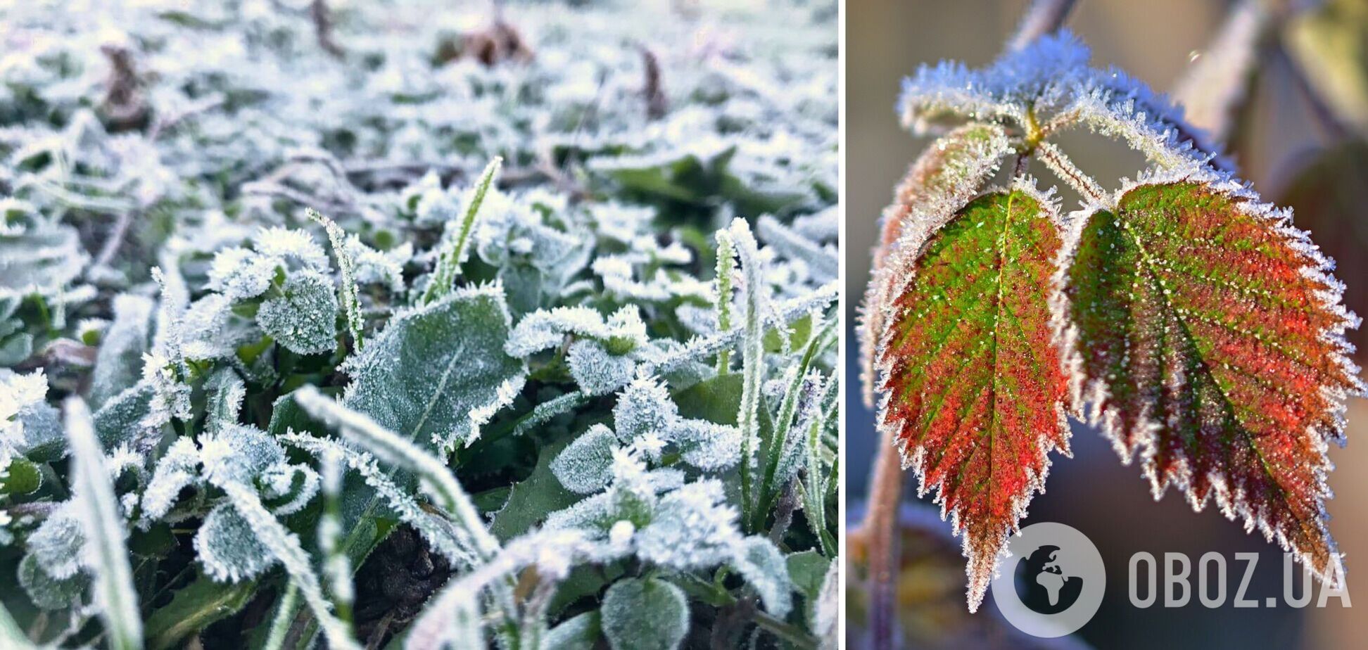 Ударят морозы до -9°С: на Киев надвигается похолодание со снегопадами, названа дата