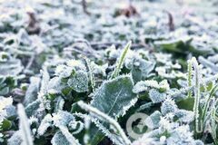 В Україну йдуть сніг та морози: синоптикиня назвала дату серйозного похолодання