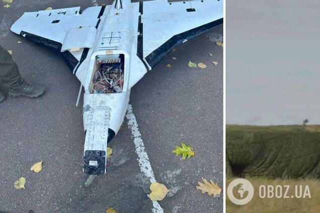 Могут нести взрывчатку или проводить разведку: в ГУР рассказали, из чего оккупанты собирают дроны 'Гербера'. Фото