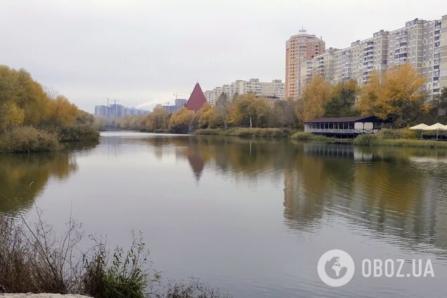 Сильні пориви вітру та до +12°С: прогноз погоди по Київщині на 20 листопада