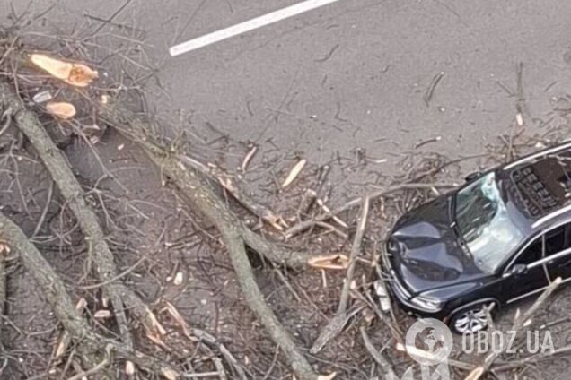 В Киеве на Лукьяновке дерево упало на женщину, она погибла на месте