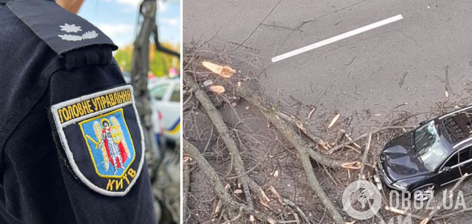 У Києві на Лук’янівці дерево впало на жінку, вона загинула на місці