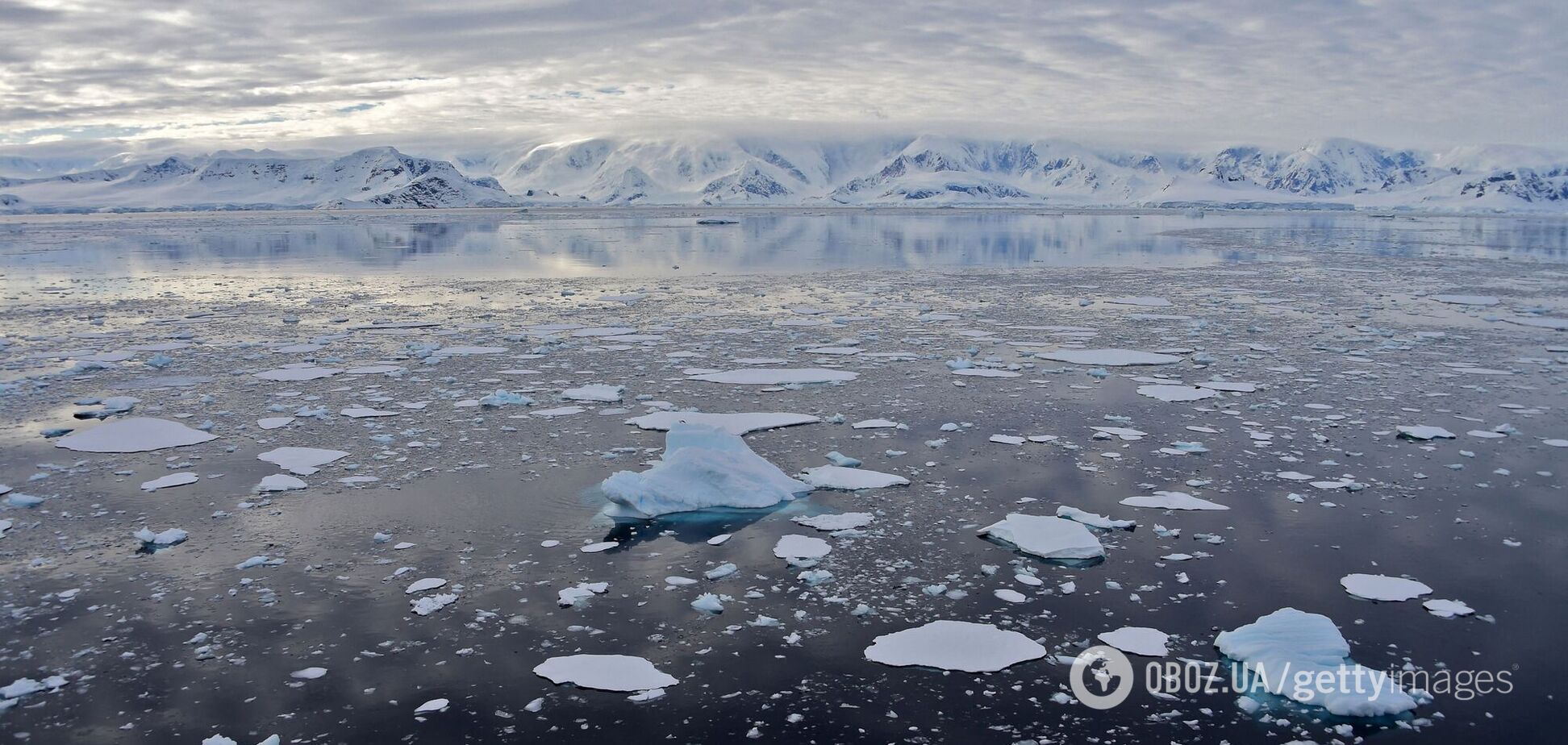 Земля может потерять более половины своих ледников к 2100 году из-за изменения климата: ученые сделали прогноз