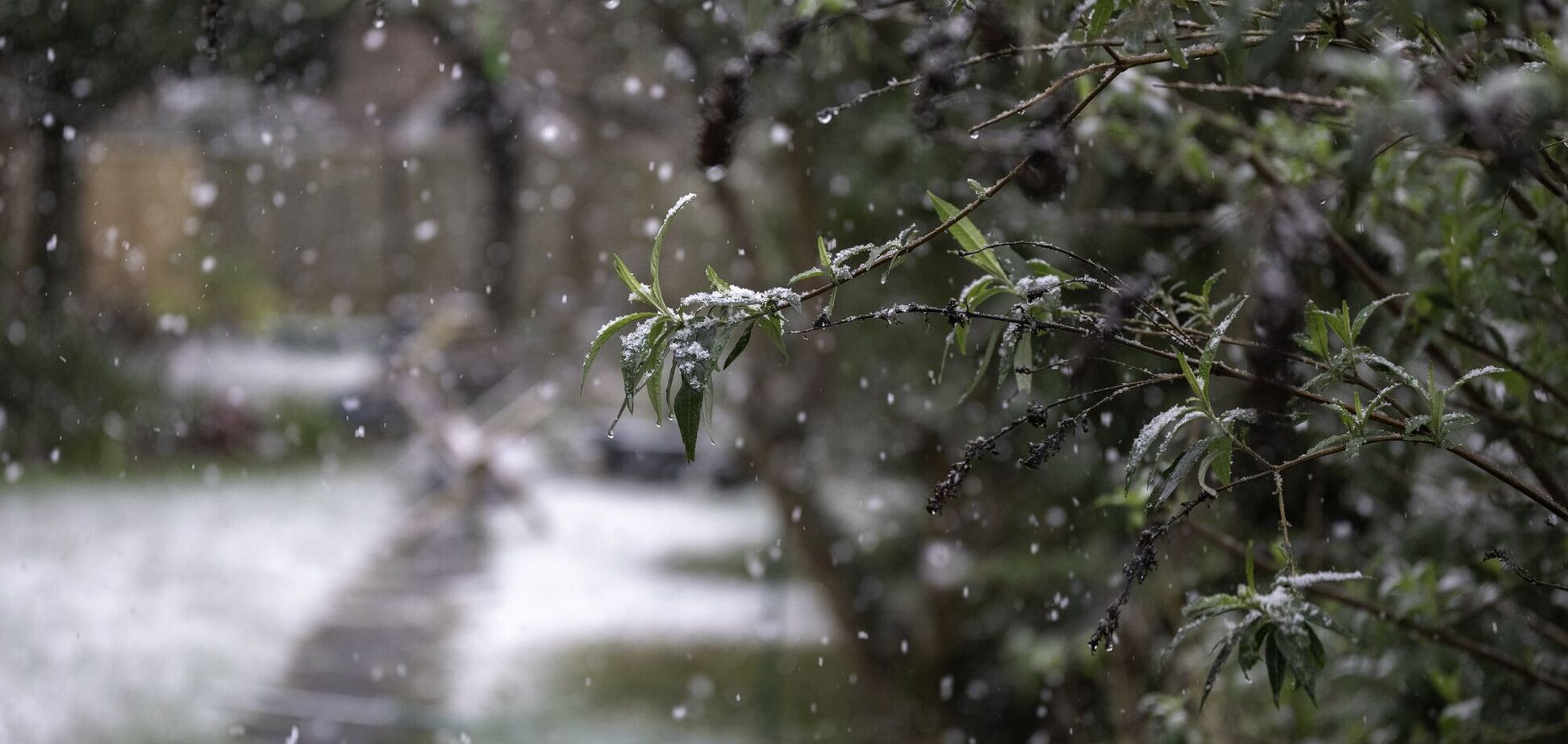 В Украине на выходные потеплеет до +15, но не везде: синоптики дали детальный прогноз. Карта
