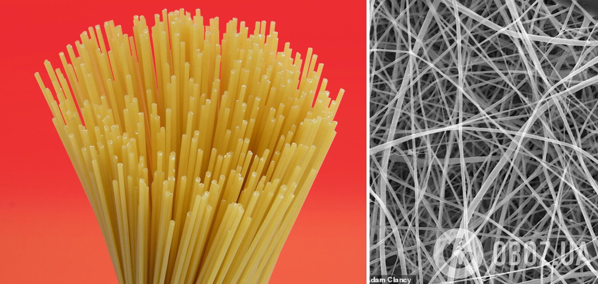 Вчені створили найтонші у світі спагеті: вони у 200 разів вужчі за людську волосину