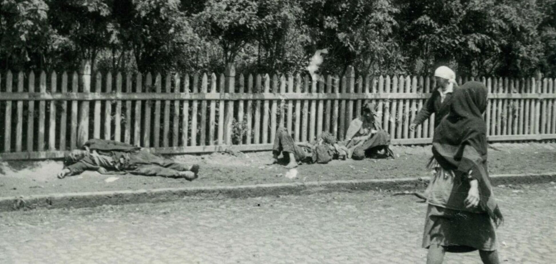 Красноармейцы не подпускали людей есть сладкую землю и убивали штыками: воспоминания о Голодоморе