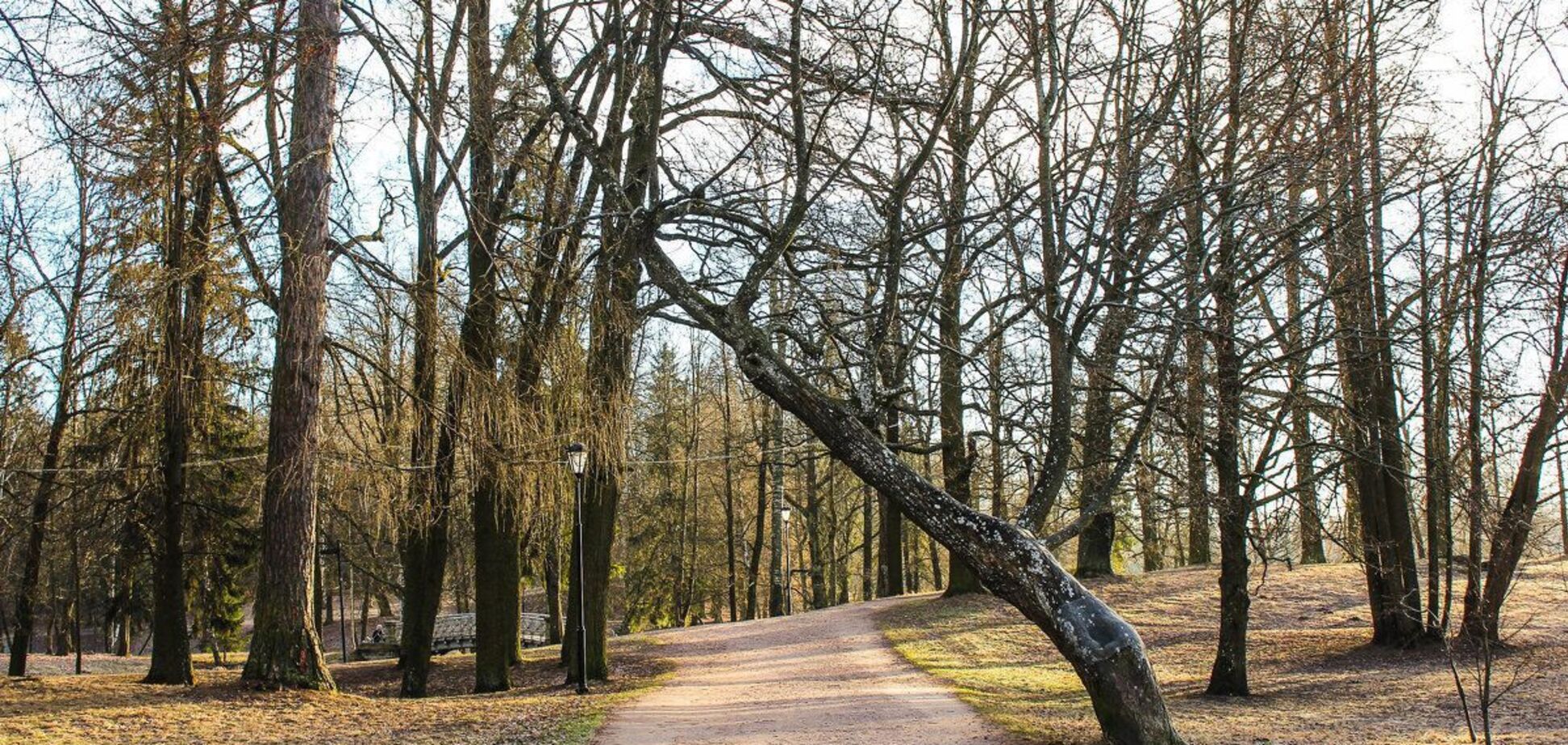 Начало недели ожидается без осадков и с морозом: синоптики дали прогноз погоды на понедельник