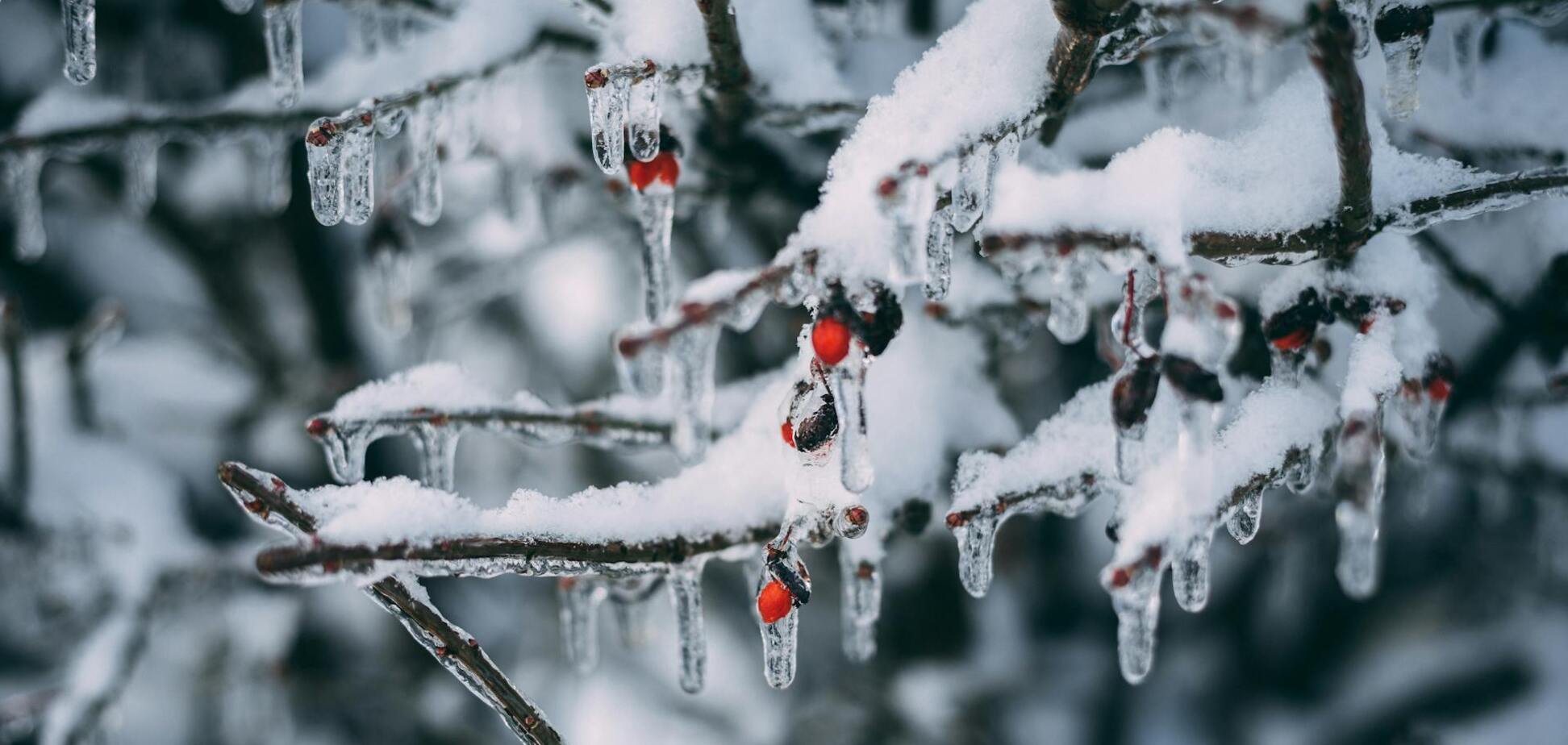 Украине спрогнозировали рекордную зиму с арктическими морозами: что известно о прогнозе