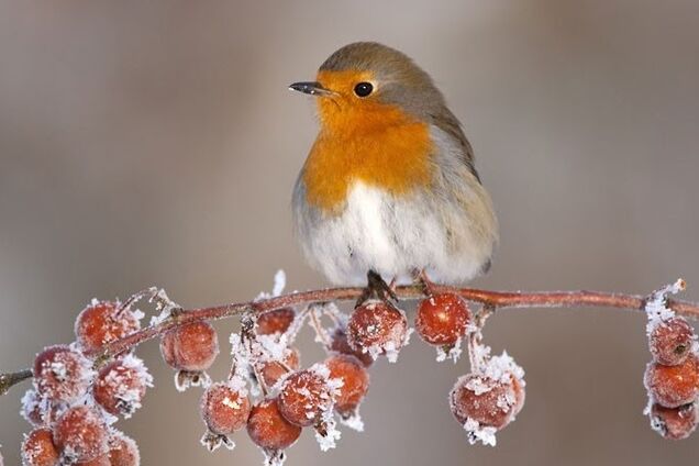 В Украине потеплеет до +14: синоптик дала прогноз и рассказала, ждать ли снова холода
