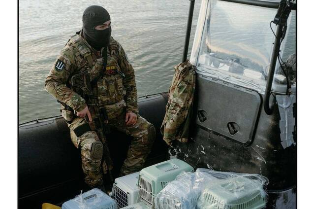 Українська розвідка провела на Зміїному спецоперацію ГУР-КІТ: фото нетипової евакуації здивують