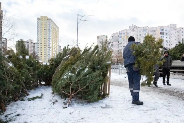 У КМДА розповіли, коли в Києві почнуть працювати ялинкові базари: відомо адреси