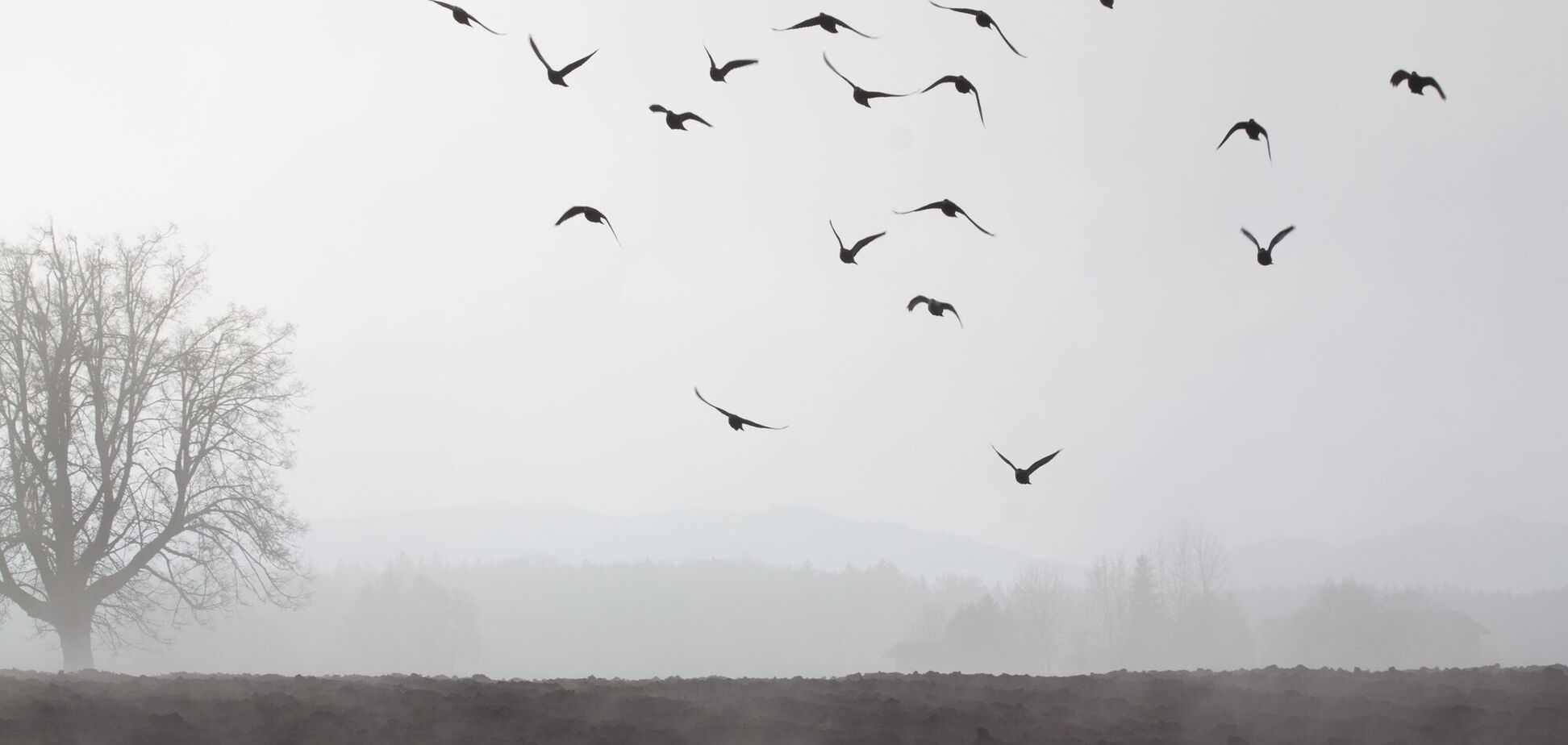 Украину в первый день зимы накроет туманом: прогноз синоптиков