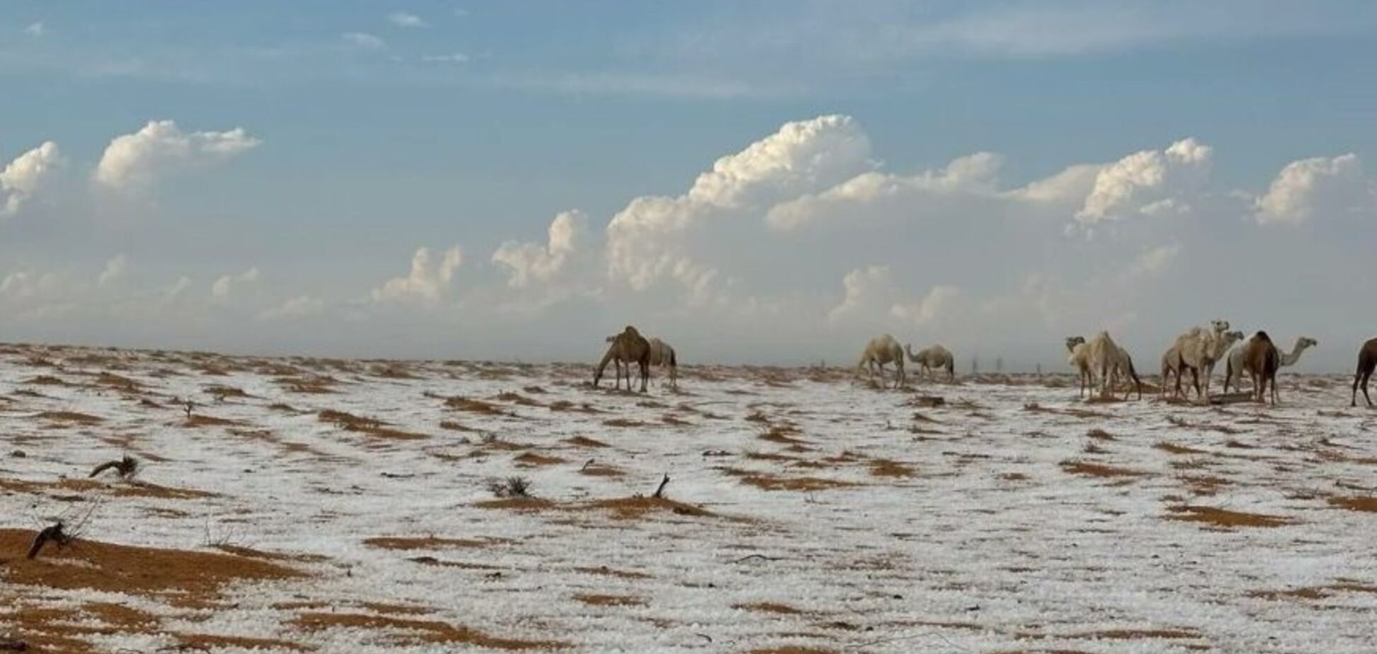 Пустелю в Саудівській Аравії засипало снігом: у мережі з’явилось відео