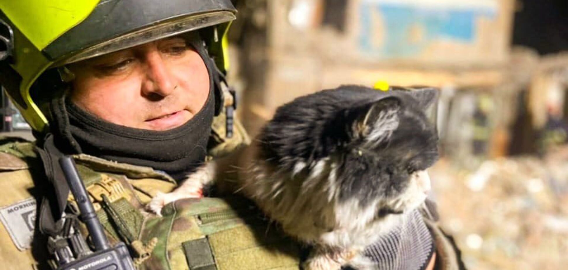 В Харькове бойцы ГСЧС при разборе завалов спасли пушистика. Фото