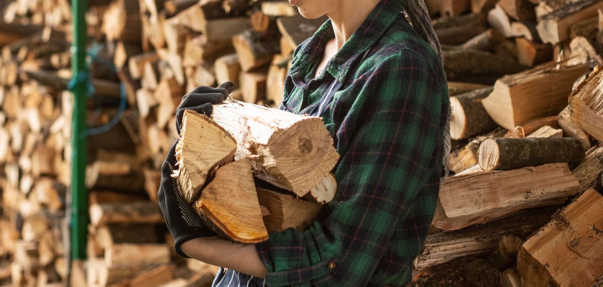 Иллюстрация к выплатам на дрова