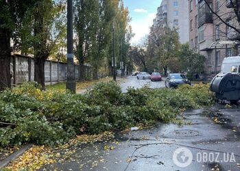 В Киеве сильные порывы ветра ломали деревья и срывали крыши с домов. Фото и видео