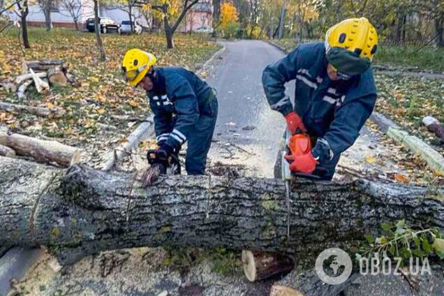 У КМДА розповіли, про наслідки сильного вітру та негоди в Києві. Подробиці і фото