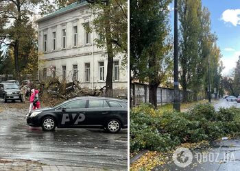 В Україні вирує сильний вітер: у низці міст впали дерева, у Дніпрі знесло зупинку, є постраждалі. Фото і відео