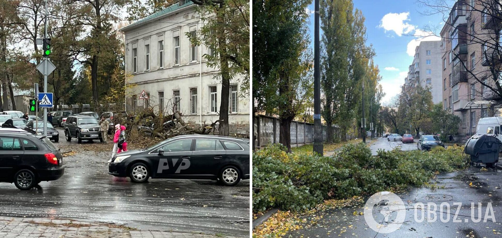 В Украине бушует сильный ветер: в ряде городов упали деревья, в Днепре снесло остановку, есть пострадавшие. Фото и видео