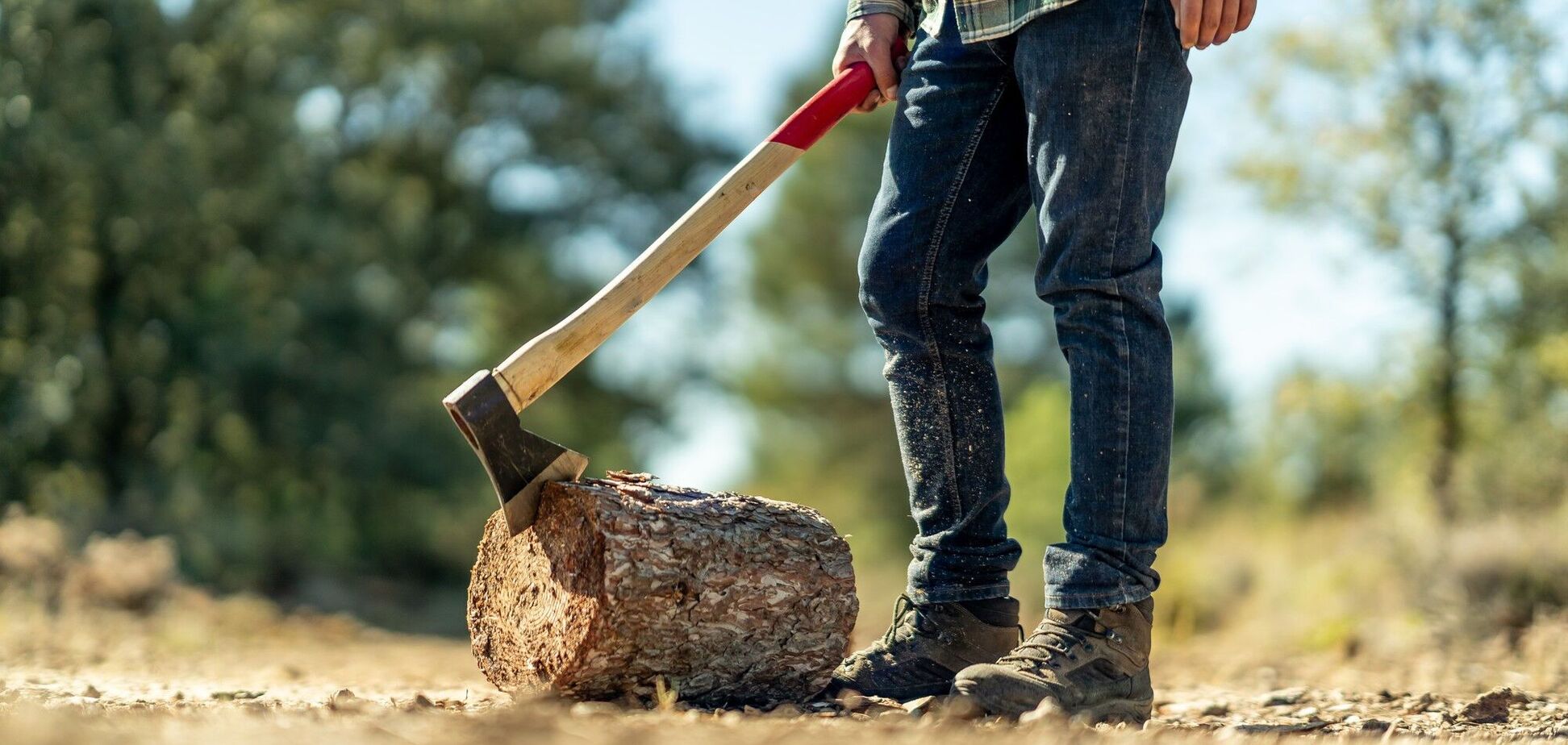 Співавтор закону про покарання за зберігання дров пояснив деталі