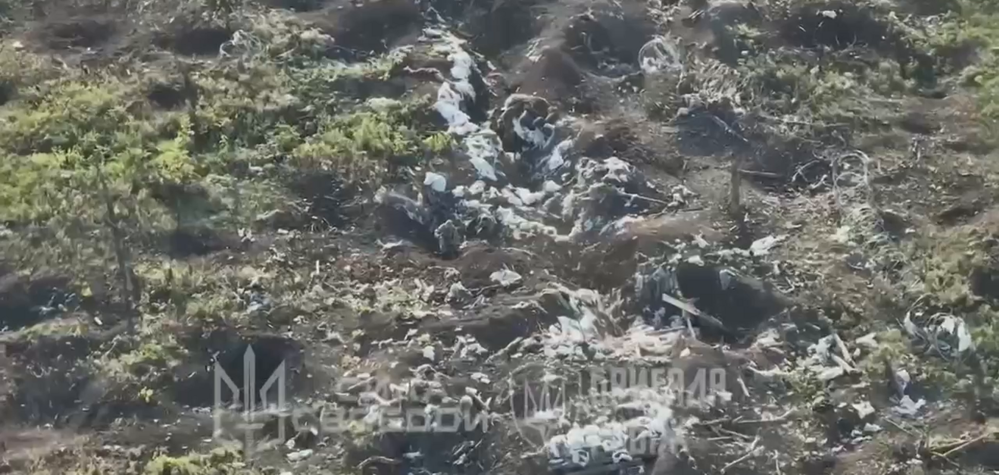 Всегда есть результат: в Нацгвардии показали уничтожение вражеской пехоты на Лимано-Купянском направлении. Видео