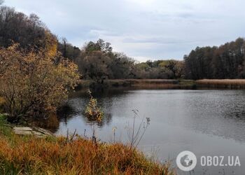 Мінлива хмарність та до +10°С: прогноз погоди по Київщині на 6 листопада