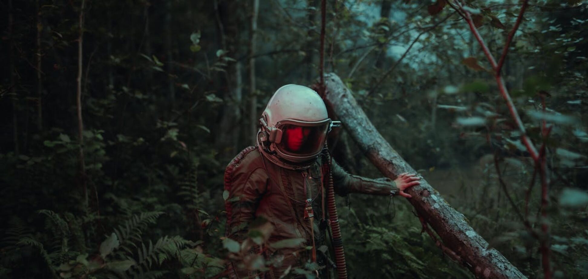 Лучшие фильмы-катастрофы: подборка для фанатов хорошего визуала