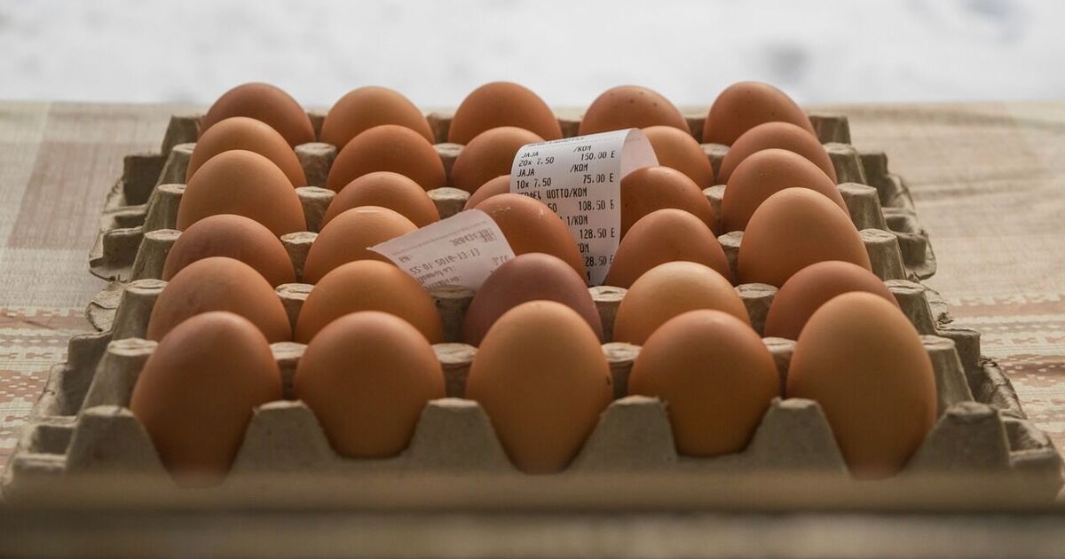 Прогноз щодо яєць збувається: скільки в Україні коштує десяток