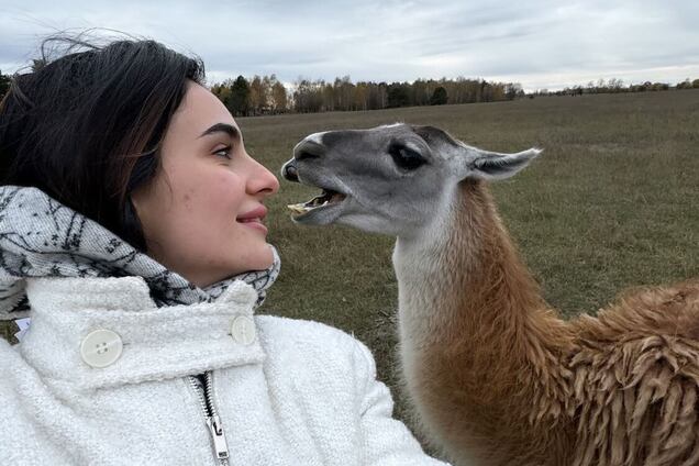 Анна Трінчер потрапила в конфуз із верблюдом, якому хотіла заспівати. Відео