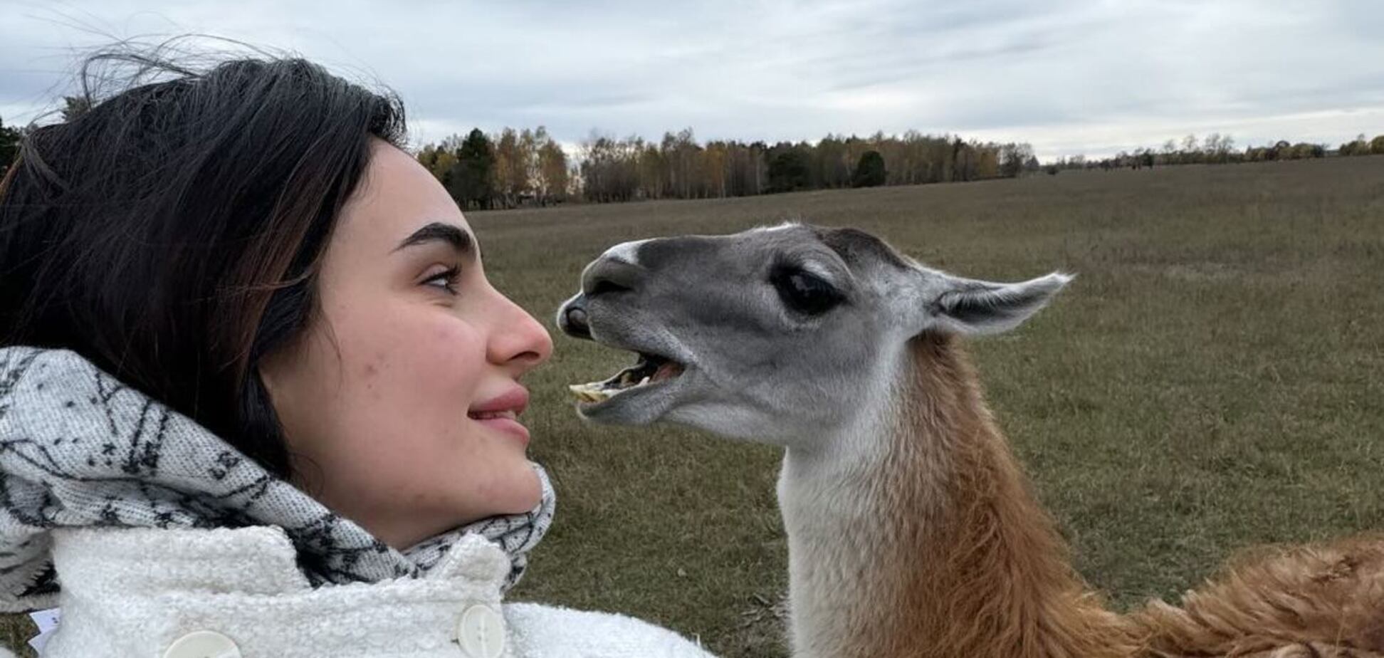 Анна Трінчер потрапила в конфуз із верблюдом, якому хотіла заспівати. Відео